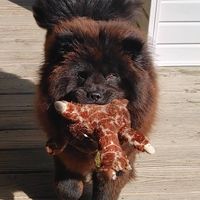 Barry Tolliver's profile image