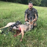 Kelly Carpenter's profile image