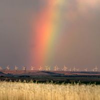 Danae Kissner's profile image