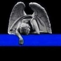 Dan Donovan's profile image