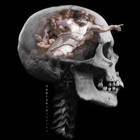 Christopher Harman's profile image