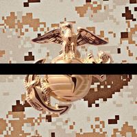 Paul VanOstenbridge's profile image