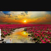 Pam Pinkney's profile image