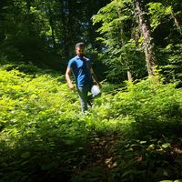 Yasen Al-sarraf's profile image