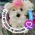 Joan Wandel's profile image