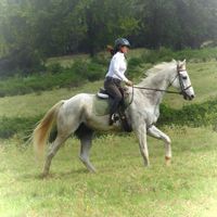 Gina Huth Ramey's profile image