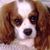George Noel's profile image
