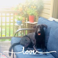 Jane Patterson's profile image