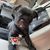Jammie Wenzel Lane's profile image