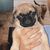 Jodie Leigh Emmett's profile image