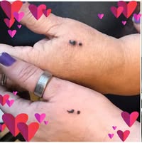 Christy Lee Brasill's profile image