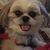 Lori Mathes's profile image