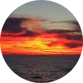 John Karpontinis's Profile Image