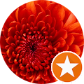 Mama E's Profile Image