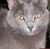 Jerry Copeland's profile image