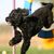Sue Bloom's profile image