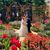 Savanna Anastas's profile image
