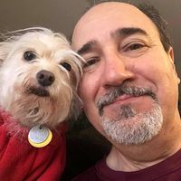 Salvatore Marasco's profile image
