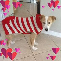 Colette Perrone's profile image