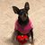 April Brown Fabbri's profile image