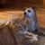 Randy Dearing's profile image