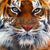 Christie Ridgaway's profile image