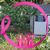 Suzanne R Larcombe's profile image