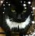 Kathy Hamilton Ellington's profile image