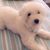 Vanesa Colindres's profile image