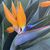 Susanne Titel's profile image