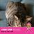 Shirley Frank's profile image