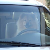 Kathy Hudson's profile image