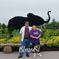 Kim Morgan's profile image
