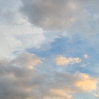 Heather Michelle's profile image