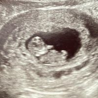 Cara Ann's profile image