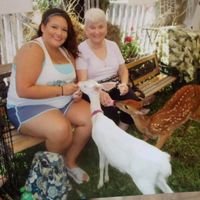 Gail Green's profile image