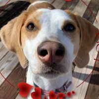 Terry Eldridge-Murray's profile image