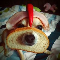Gene Leo's profile image