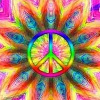 Barbara Shockey's profile image
