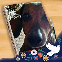 Jean Freeman Windom's profile image