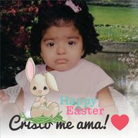 Sylvia Piñeda's profile image