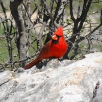 Mary Hamer's profile image