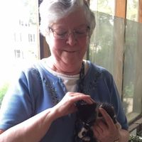 Susan Hunt's profile image