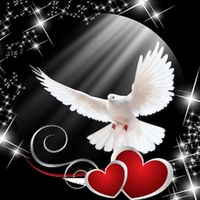 Sonia Mendoza's profile image