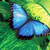BarbaraAnn Galvan's profile image