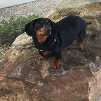 Jaylene Roberts's profile image