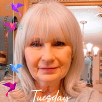 Donna Fletcher's profile image