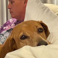 Steve J White's profile image