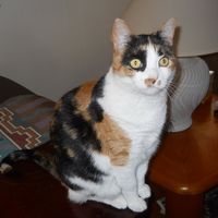 Shirley Hawkins's profile image