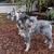 Linda Kizer-Paquette's Profile Image